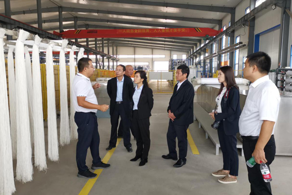 陕西航天建设集团有限公司总经理、党委副书记谢明娟率队赴辽宁一诺环保产业集团开展考察调研工作