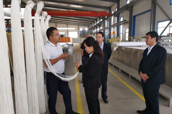 陕西航天建设集团有限公司总经理、党委副书记谢明娟率队赴辽宁一诺环保产业集团开展考察调研工作